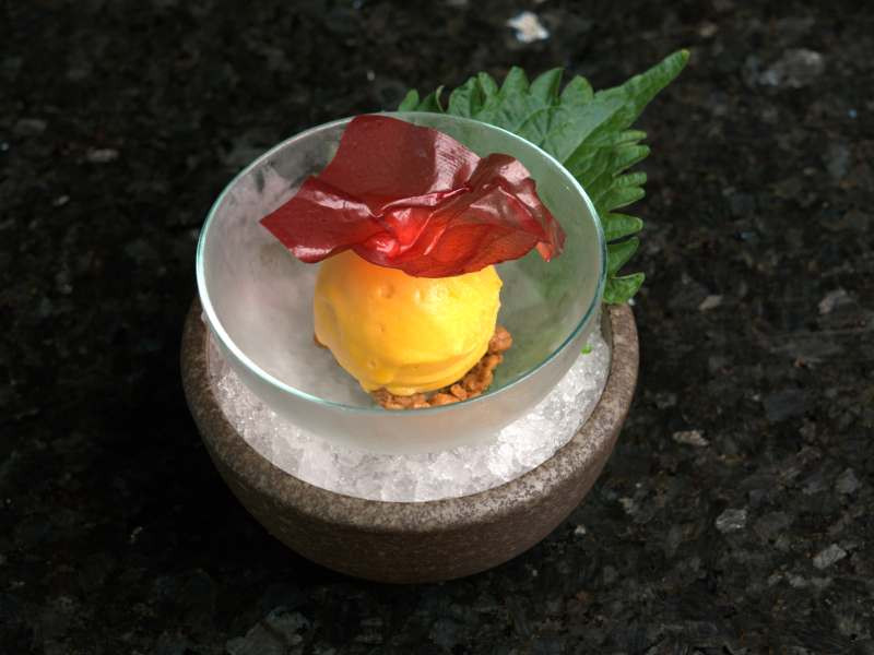 KAYA Bahrain Food Menu CHEF SORBET & ICE CREAM